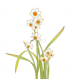 手绘水彩淡彩水仙花彩铅文艺清新花卉绿植物