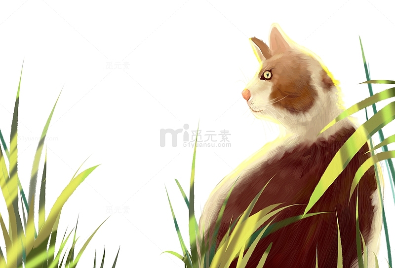 草绿色阳光照耀猫咪动物背影素材