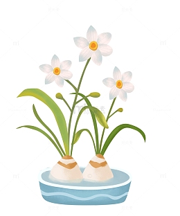 绿色水仙花新年花卉植物手绘