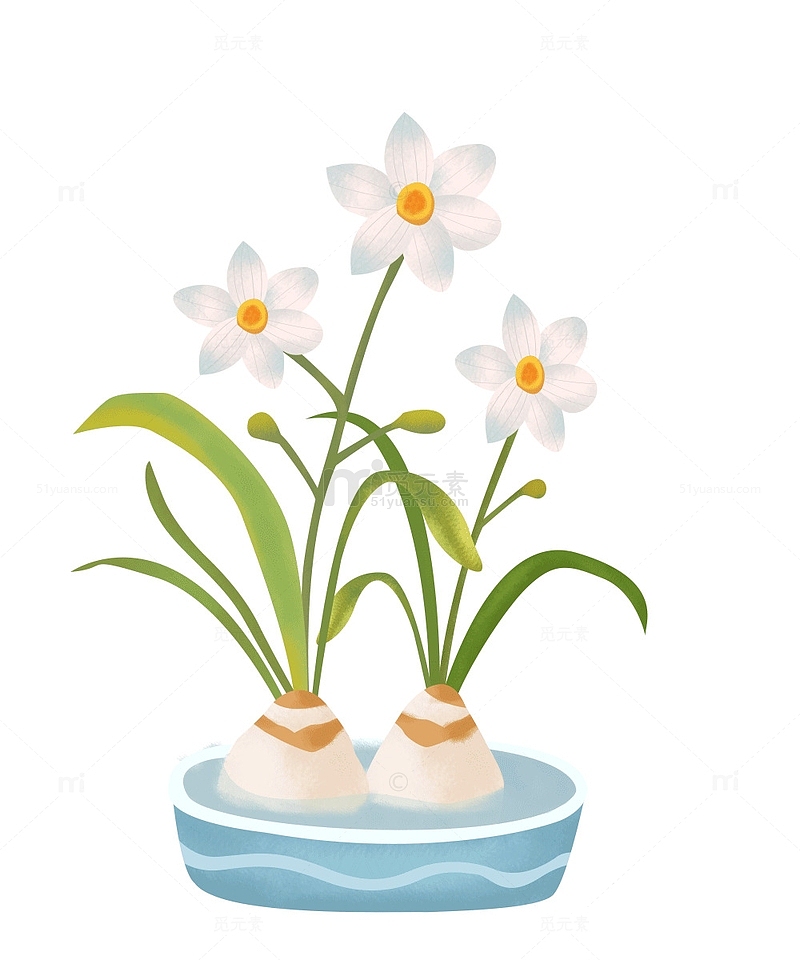 绿色水仙花新年花卉植物手绘