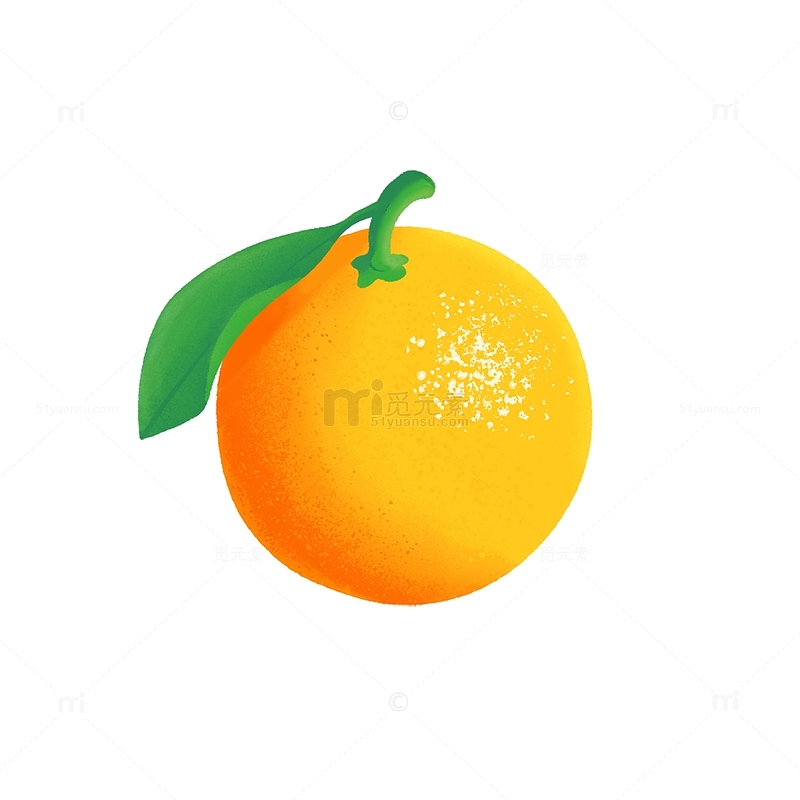 橙黄色半写真美味新鲜水果鲜橙橙子手绘图