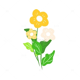 黄色植物花卉花朵手绘