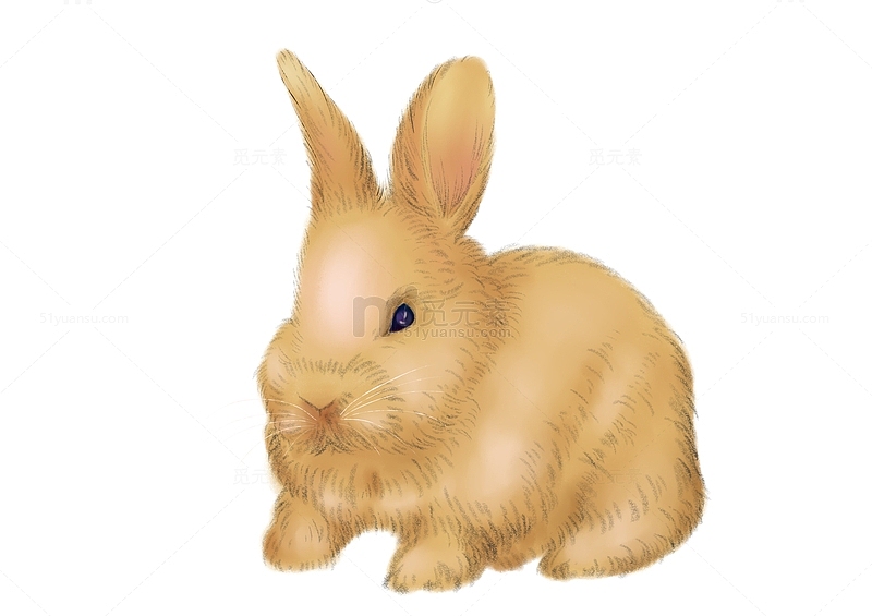 黄色可爱清新手绘动物兔子素材