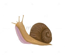 手绘蜗牛素材