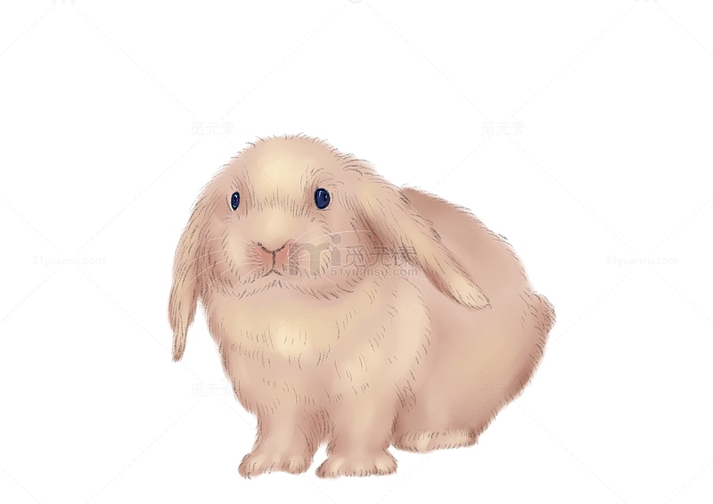 黄色手绘可爱垂耳兔动物素材