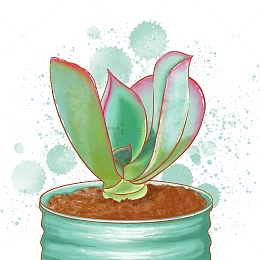 蓝绿色小清新水彩风多肉植物喷溅插画元素