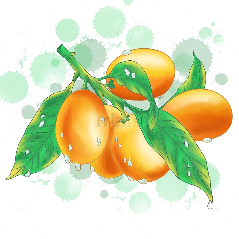 橙色黄色小清新水果水彩风小金桔手绘元素