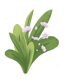 绿色紫花大叶子花草装饰