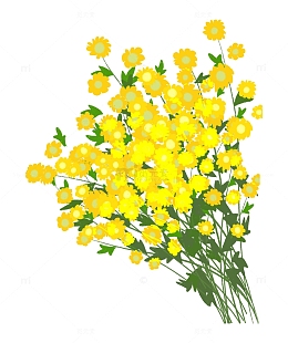 黄色小雏菊捧花手绘