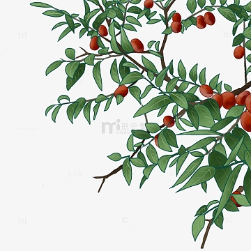 绿色枣树手绘简约树木花草