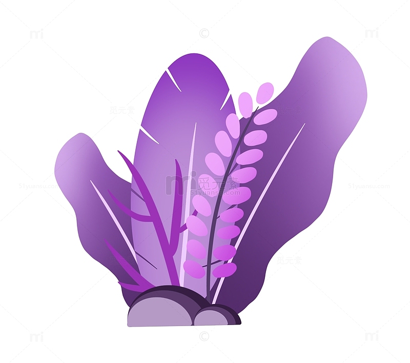 紫色紫调植物手绘
