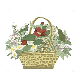 绿色中国风插花冬传统文化手绘图