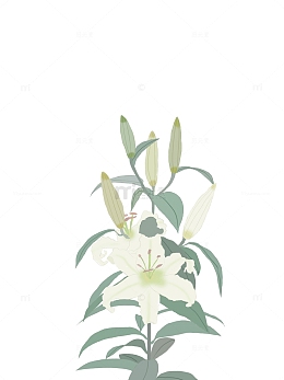 国潮细腻风植物一枝百合花元素