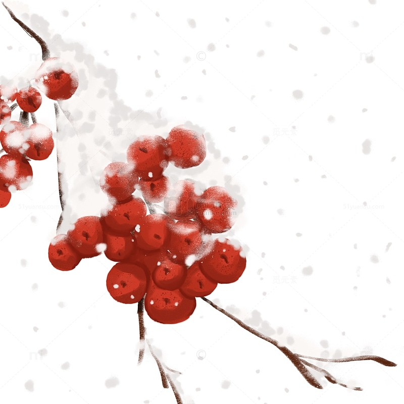 红色白色飘雪山楂红山果大雪小雪手绘图