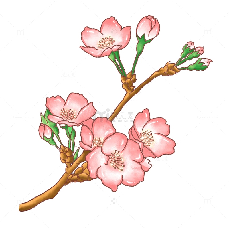 粉色小清新水彩风梅花桃花春节元素