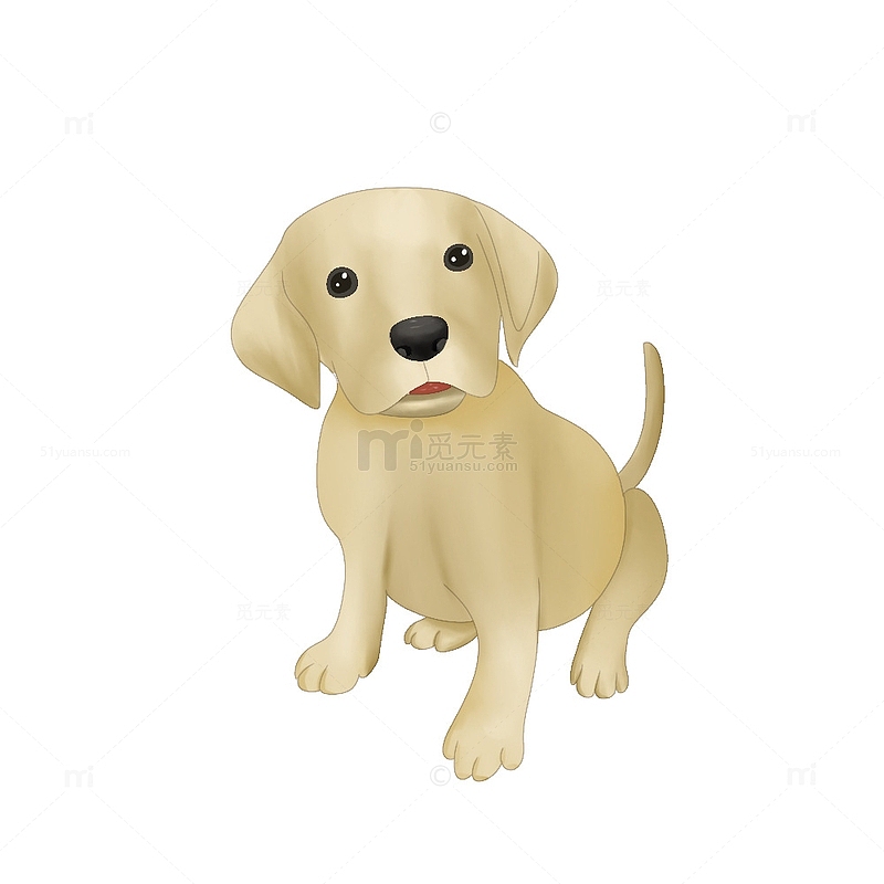 宠物元素卡通绘画海报包装狗狗