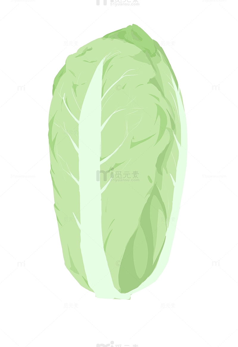 绿色食物蔬菜白菜扁平化矢量图手绘图