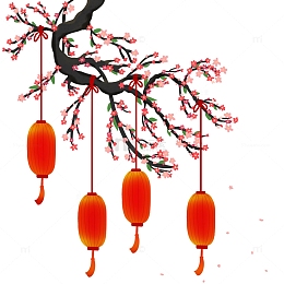 梅花树上挂满红色灯笼