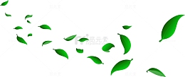 绿色小清新漂浮元素树叶