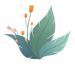 绿色花草植物装饰
