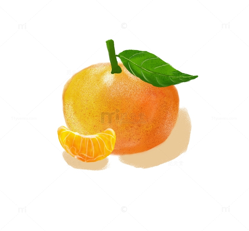 橙色橘子水果暖色冬日插画