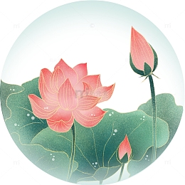 荷花小清新元素国风元素夏至荷塘