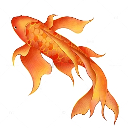 手绘国潮中国风锦鲤