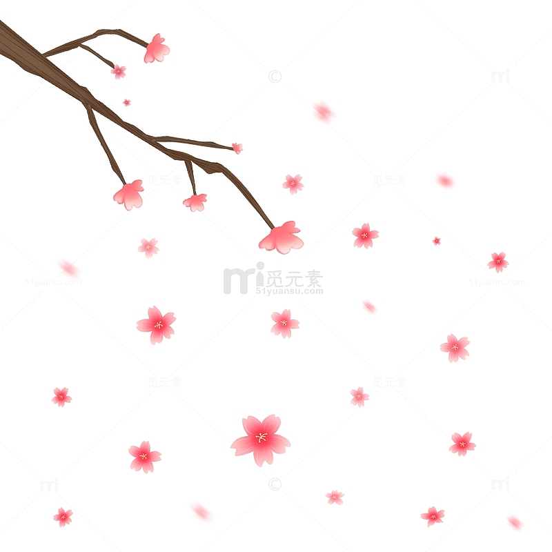 春天粉色樱花树枝飘落花瓣漂浮元素