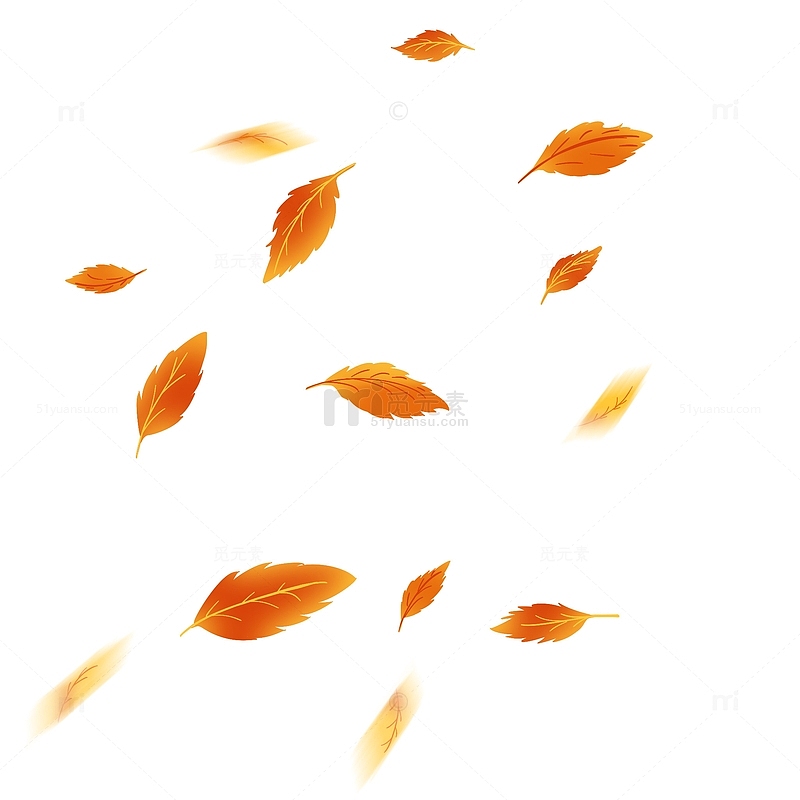 秋天 黄色 落叶 枫叶 漂浮元素 手绘