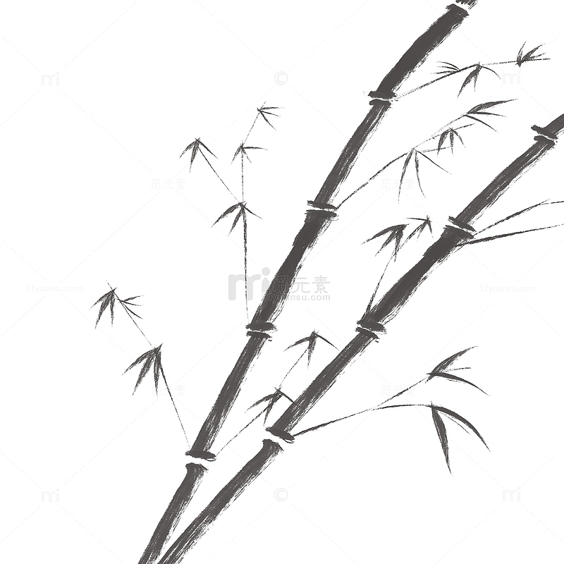 国画水墨风清竹斜竹国风古典中式观赏植物
