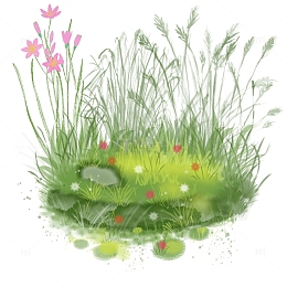 绿色小清新草丛花朵芦苇踏青手绘图