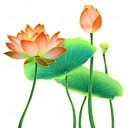 国潮中国风荷花荷叶