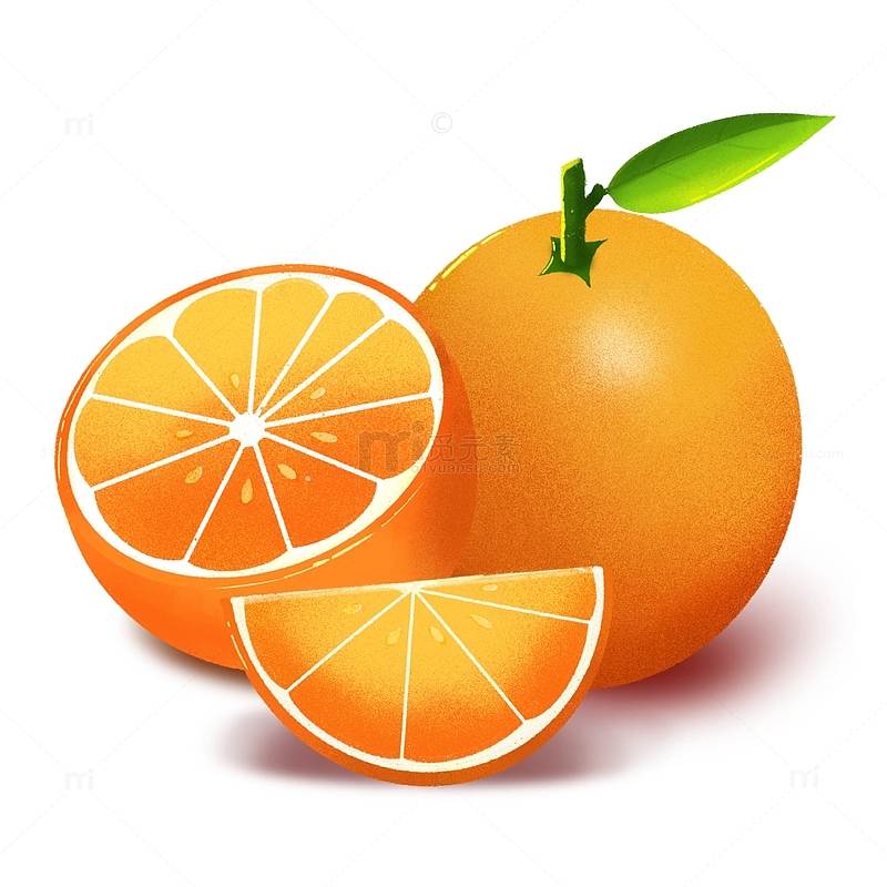 橙色橙子质感手绘装饰元素