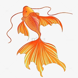 橙色国风国潮锦鲤手绘图