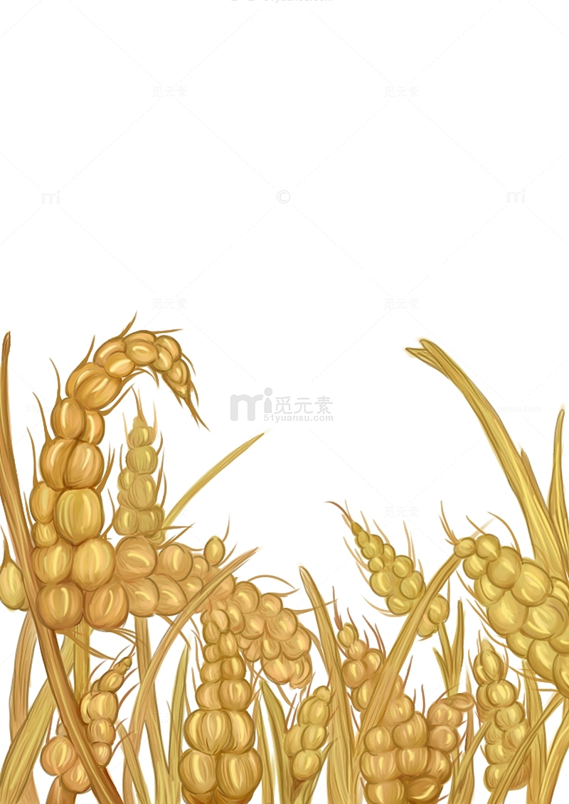 黄色植物手绘秋收麦子丰收素材