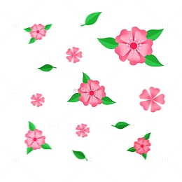 漂浮的花朵儿