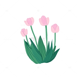 粉色郁金香装饰花丛
