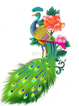 手绘国风国潮孔雀牡丹插画