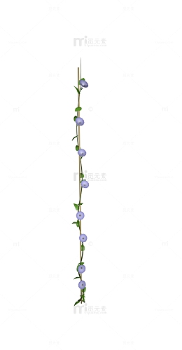 渐变紫喇叭花牵牛花夏季花朵花藤元素模型