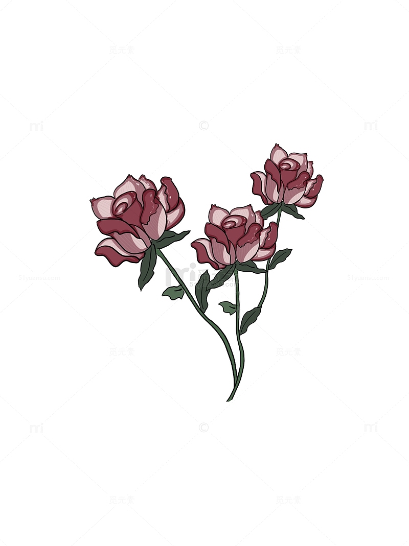 粉红色玫瑰花元素手绘图