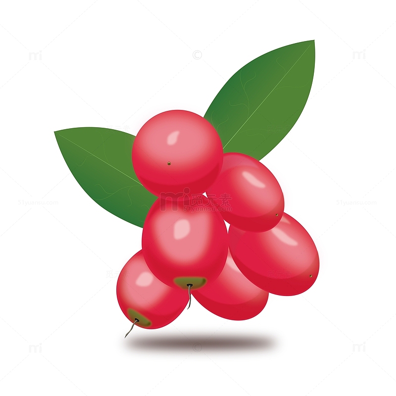 红色手绘蔓越莓水果插画