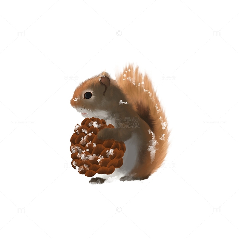 雪地里的小松鼠抱着松果手绘