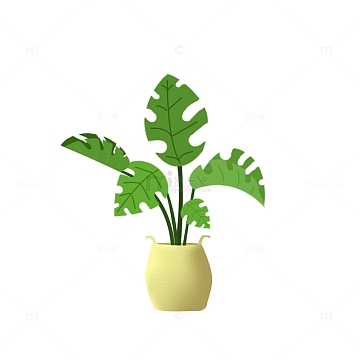 室内绿植植物龟背竹卡通图