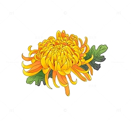 国潮风小清新手绘黄色菊花秋冬元素