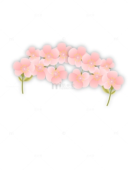 小清新粉色花朵