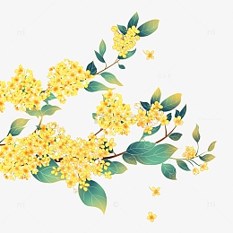 手绘国潮中秋金秋桂花植物素材