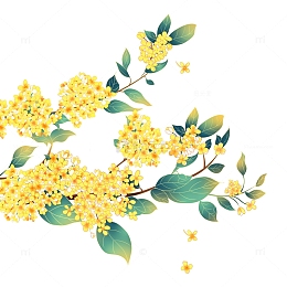 手绘国潮中秋金秋桂花植物素材