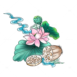 国风莲花古风手绘莲藕绘本插画中国风
