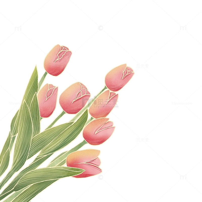 浪漫粉红手绘水彩风郁金香花丛花束花卉植物