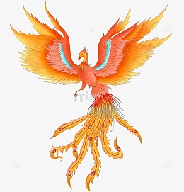 手绘凤凰花卉图案